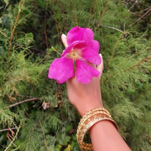 green trees in the background with a hand holding a pink flower and wearing gold bangles on the wrist