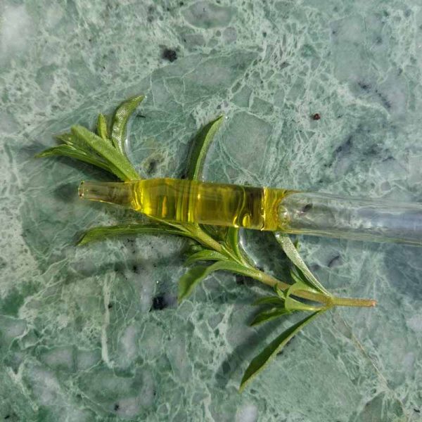 pipette with amla scalp and hair oil inside on a rosemary leaf on green marble background to add to your haircare routine